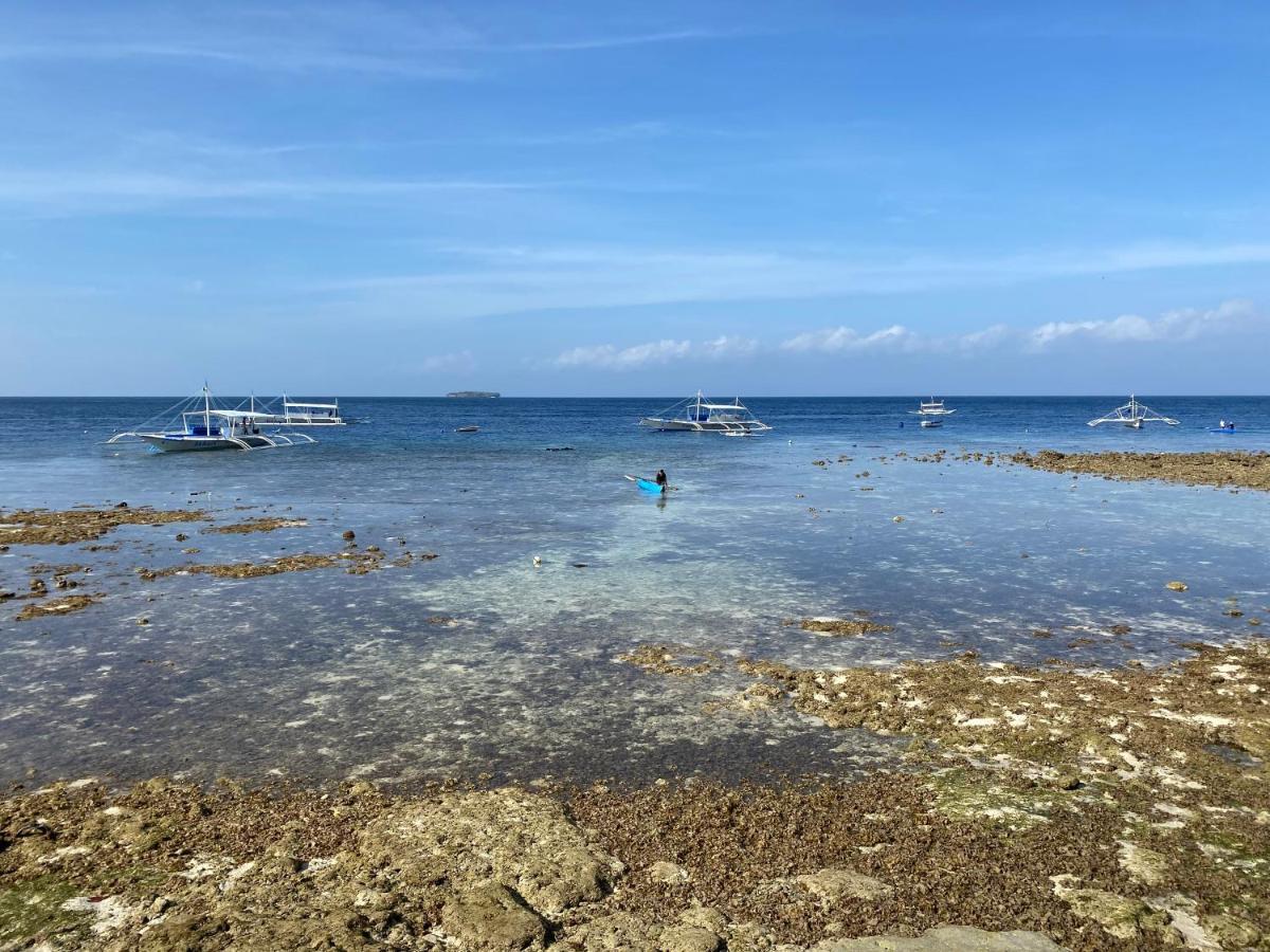 Club Hari Dive Resort Moalboal Exterior photo