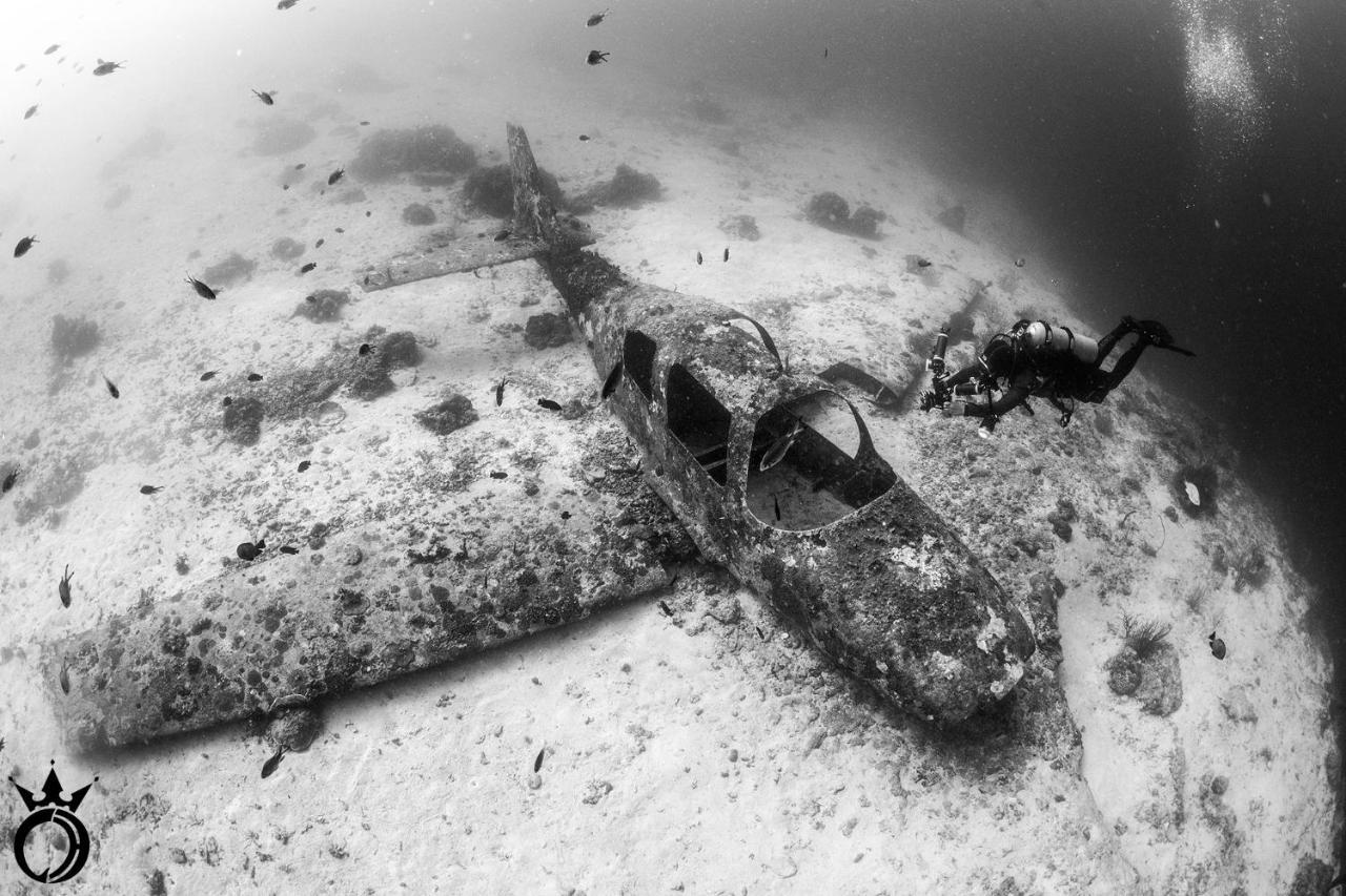 Club Hari Dive Resort Moalboal Exterior photo